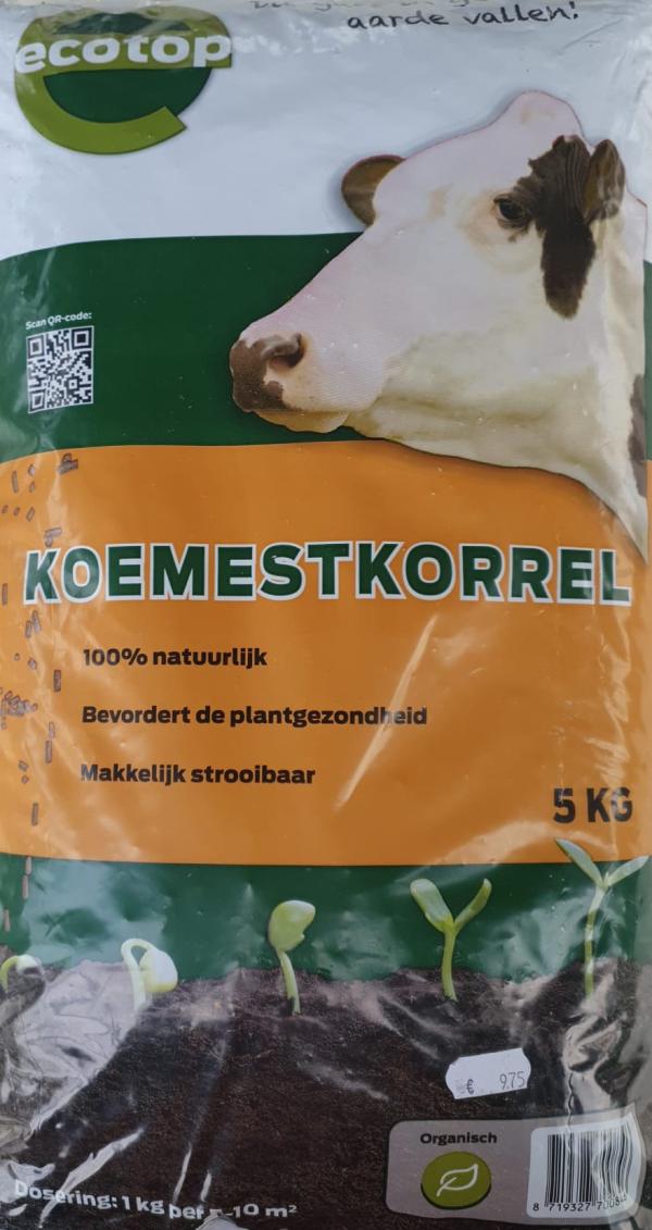 Koemest korrel