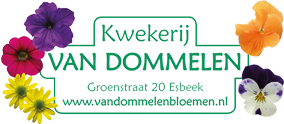 Kwekerij van Dommelen